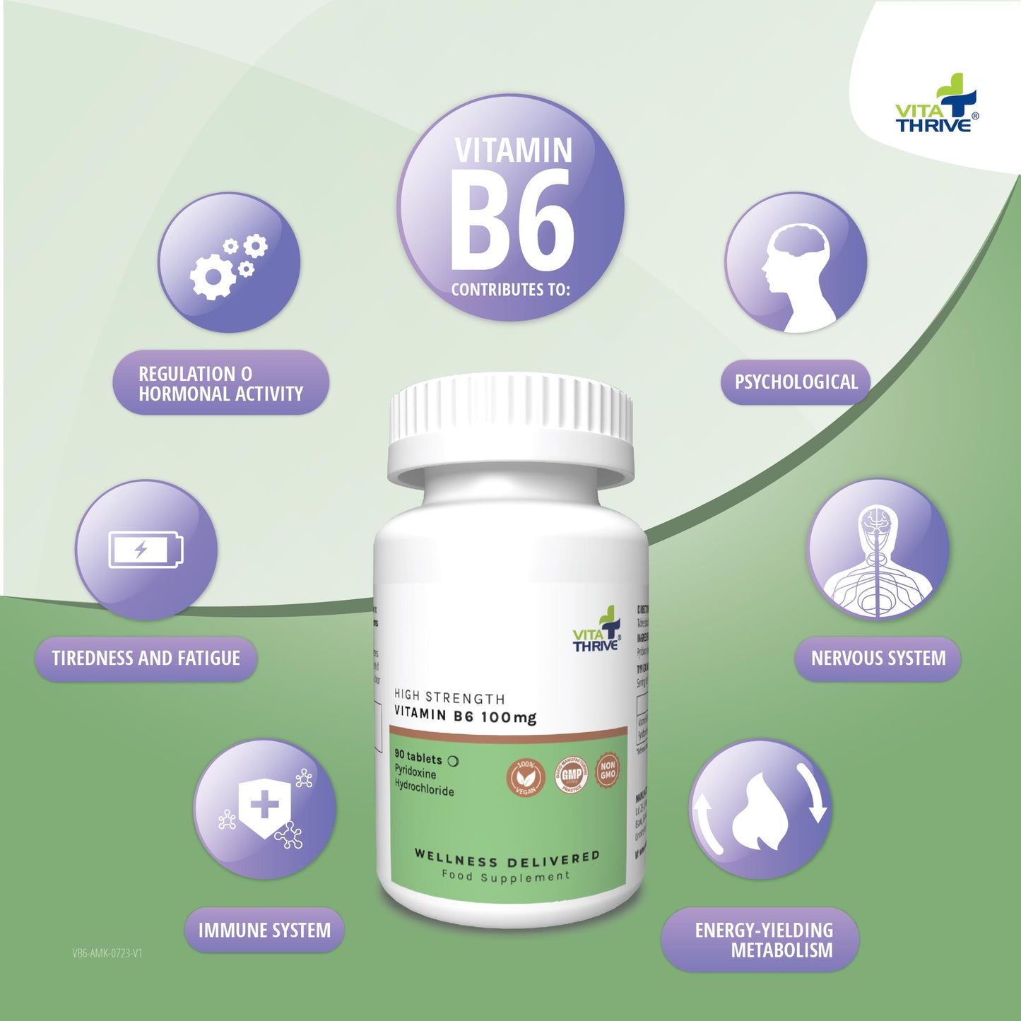 VitaThrive® High Strength Vitamin B6 100mg – 90 Tablets